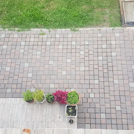 דירה Chez Maman *